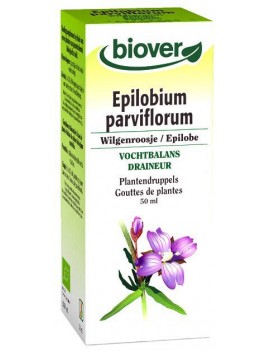 Epilobium parviflorum 50 ml